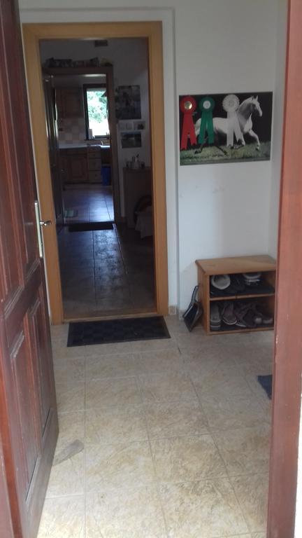 Chata Zahrada Madeta Veselí nad Lužnicí Exterior foto